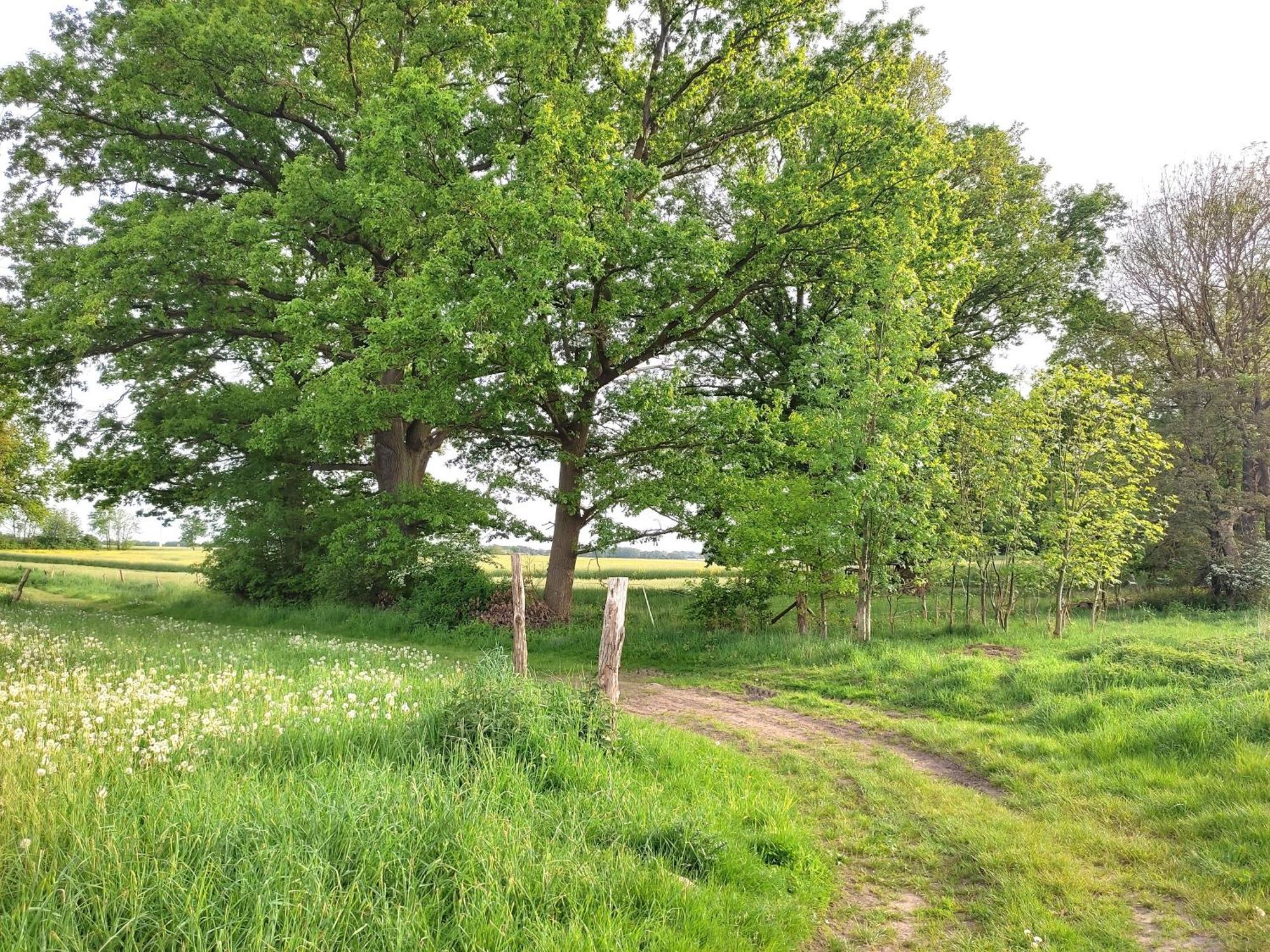 Ferienwohnung Steffenshagen Pritzwalk Zewnętrze zdjęcie