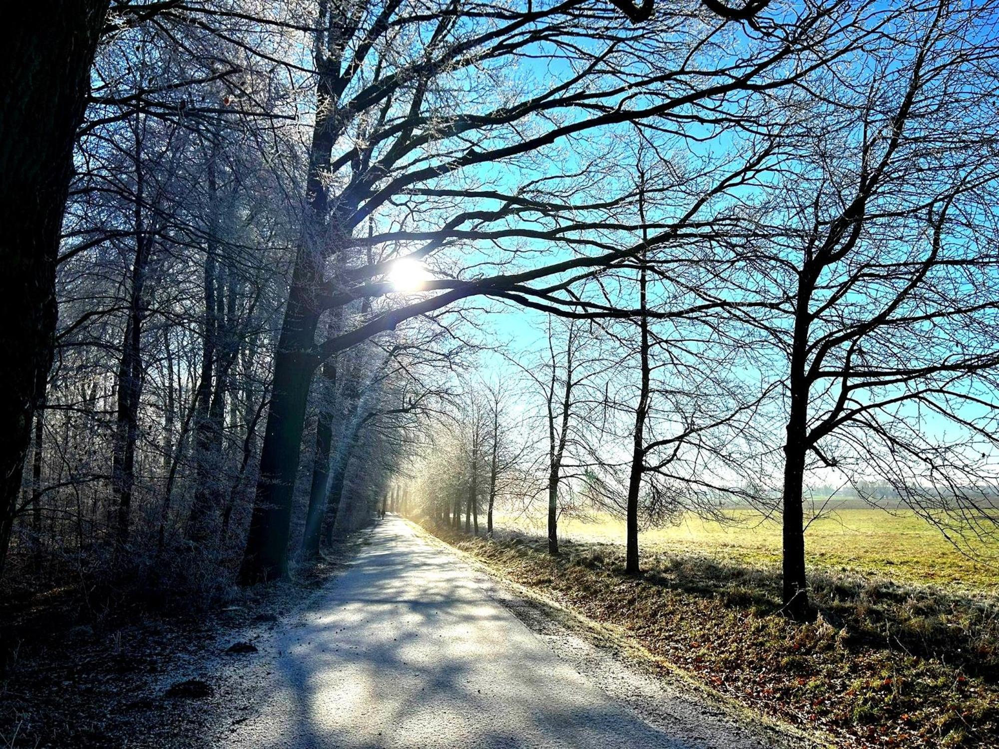 Ferienwohnung Steffenshagen Pritzwalk Zewnętrze zdjęcie